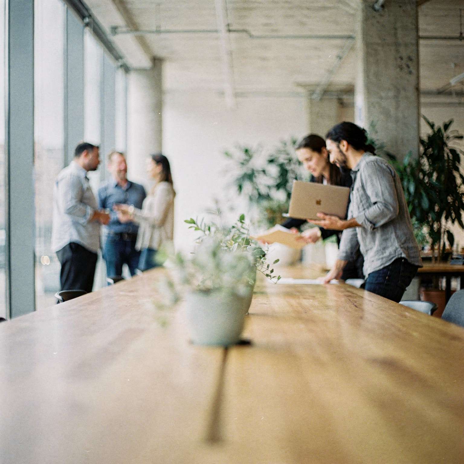 An open-plan office with a long wooden table in the foreground, two colleagues looking at a laptop together and three more talking by floor-to-ceiling windows.